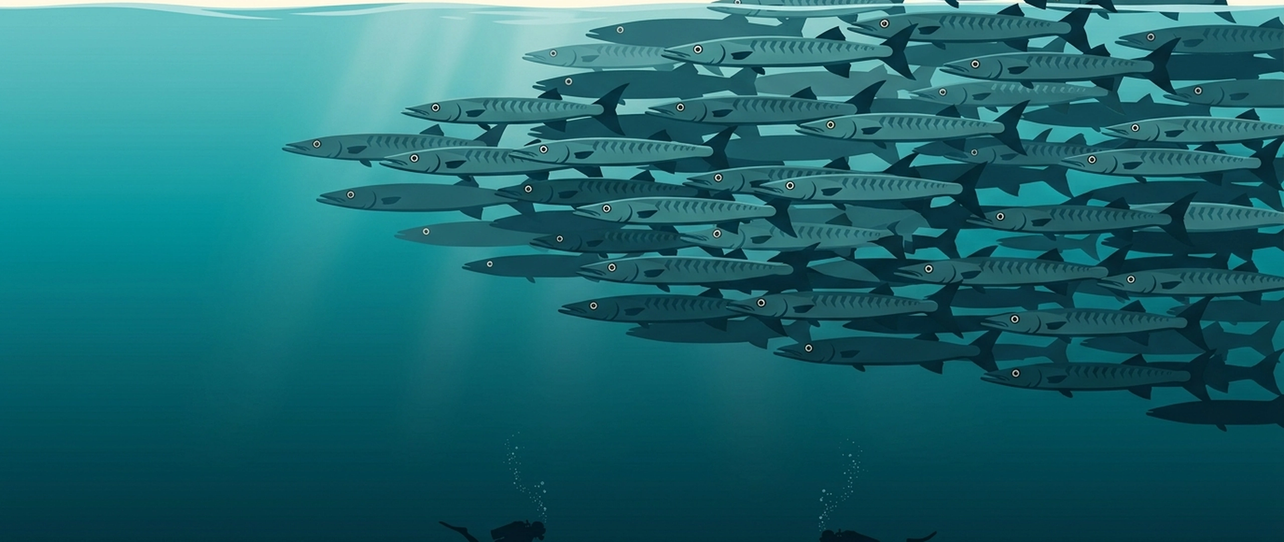 Illustration of a dense school of chevron barracuda with two small divers below