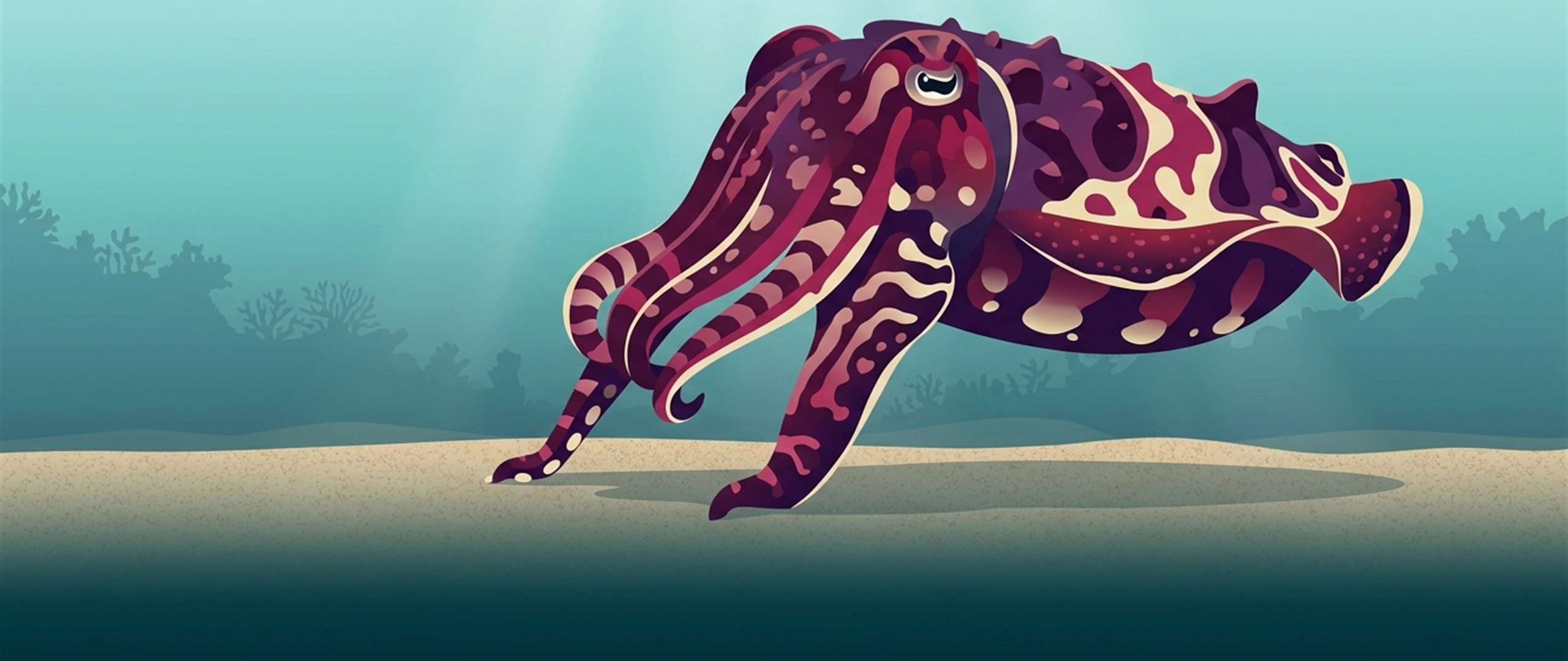 Illustration of a flamboyant cuttlefish walking across open sand