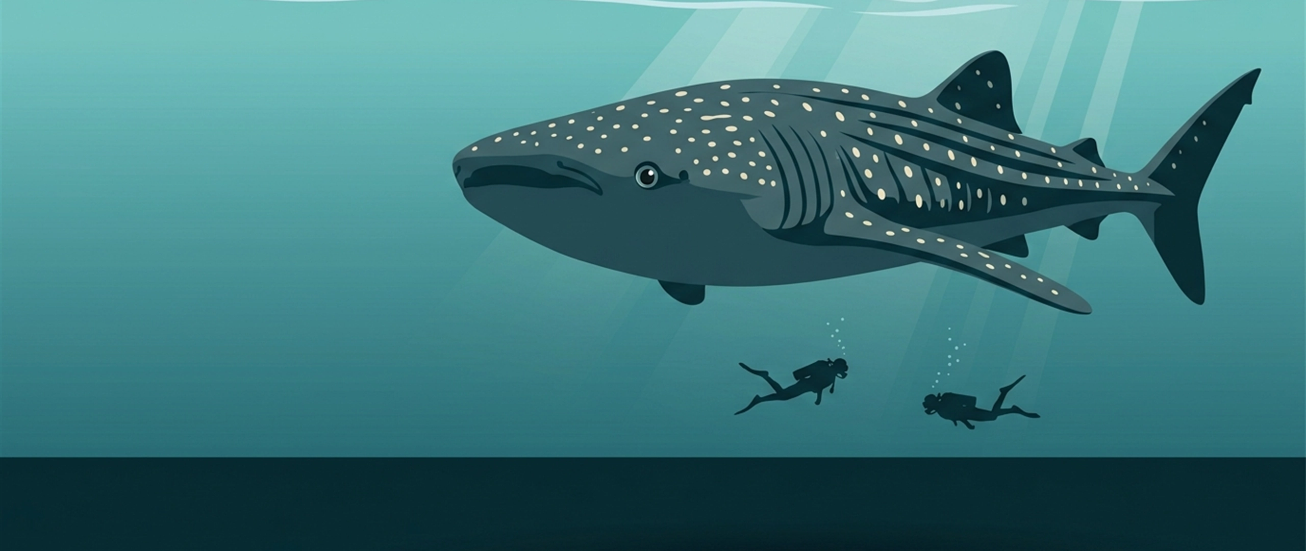 Illustration of a whale shark passing above two small divers in open water