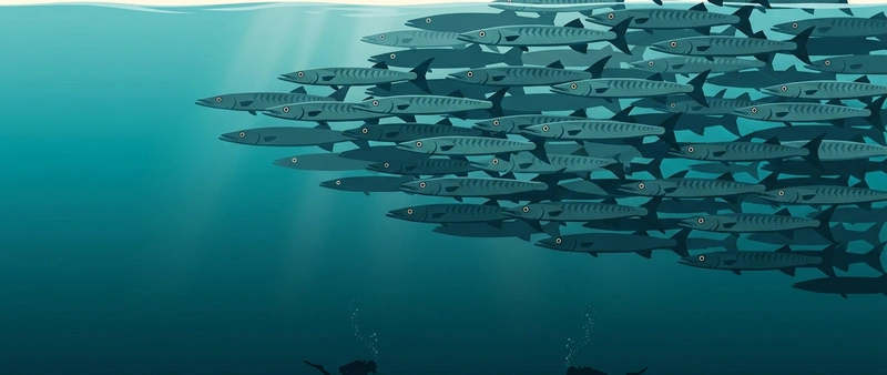 Illustration of a dense school of chevron barracuda with two small divers below